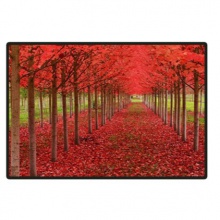 华夏光彩/HUAXIALUSTER A1- P2.5 室内 LED显示屏