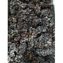 华兰德标准冰酒 酒精度5.5°总糖含量130g/L此款冰酒为葡萄在树上自然风干60天以上，冬季（12月初）人工采摘。
