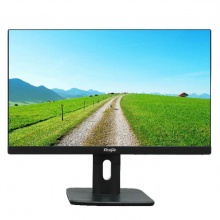 锐捷/Ruijie RG-CPM2100 液晶显示器