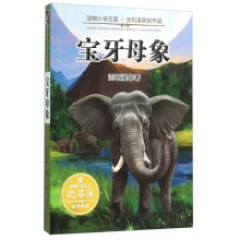 动物小说王国沈石溪获奖作品：宝牙母象	湖南少年儿童	沈石溪