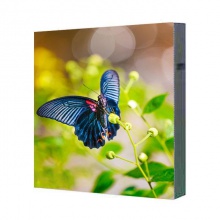 吉上润达/GERUNDA V4.0室内全彩 LED显示屏