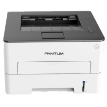 奔图/PANTUM P3019DW 激光打印机