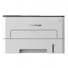 奔图/PANTUM P3019DW 激光打印机