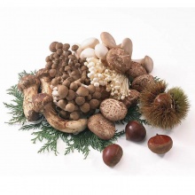 中粮山萃“四珍荟萃”菌菇礼盒